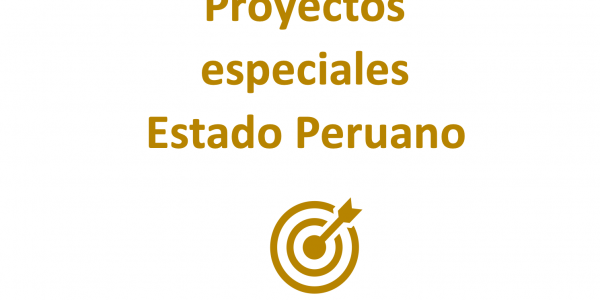 Proyectos especiales con el Estado Peruano