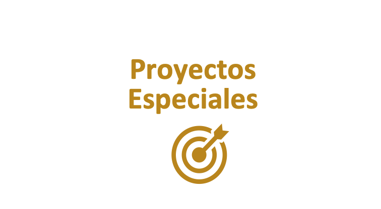 Proyectos Especiales